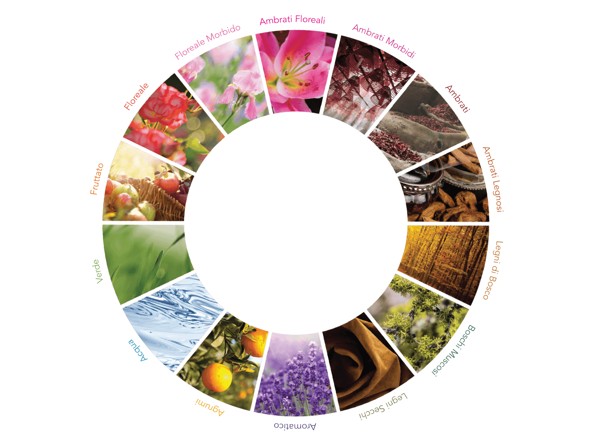The Fragrance Wheel